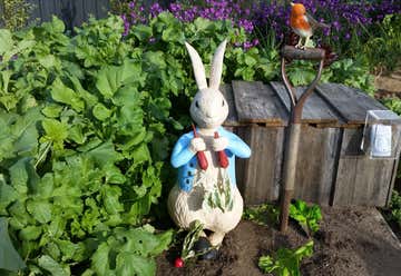 Photo of Beatrix Potter Peter Rabbit (TM) Garden