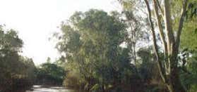 Photo of Banksia Park