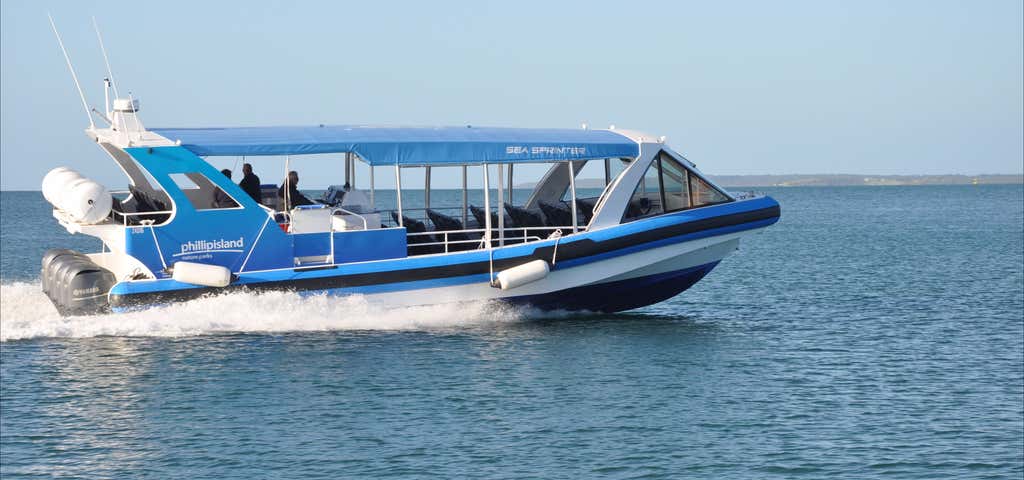 Photo of Wild Oceans EcoBoat Tour