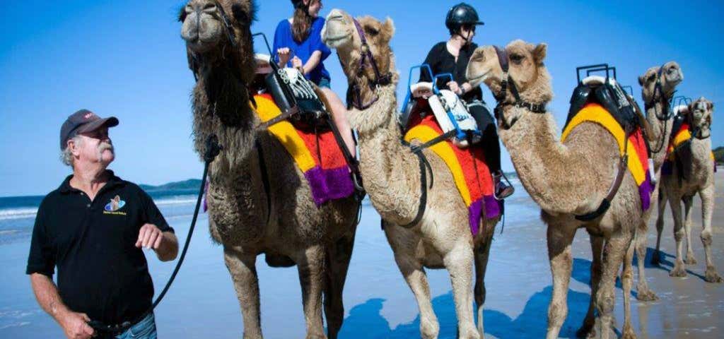 Photo of Coffs Coast Camels