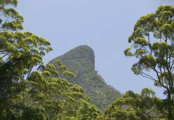 Photo of Rainforest Way Mt Warning View Circuit