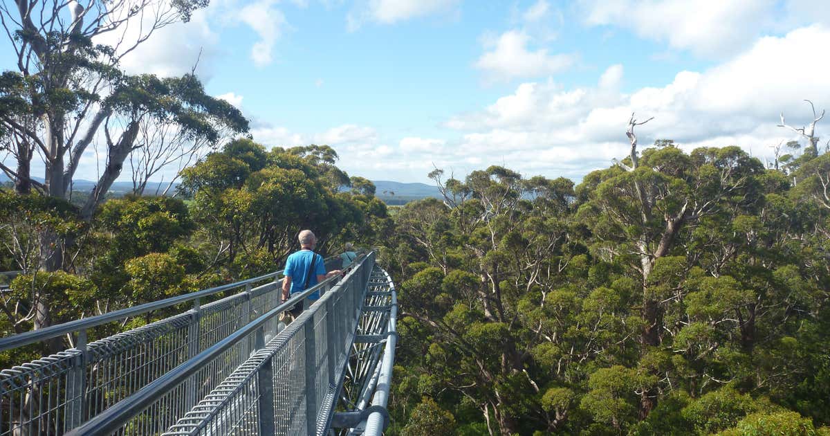 Valley of the Giants Tree Top Walk, Western Australia Roadtrippers Valley of the Giants Tree Top Walk, Western Australia Roadtrippers