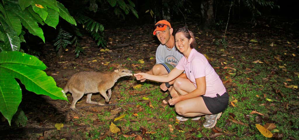 Photo of Billy Tea Safaris