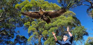 The Raptor and Wildlife Refuge of Tasmania
