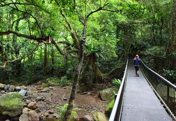 Photo of Rainforest Loop Walk, Budderoo National Park