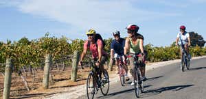 Barossa Classic Cycle Tours