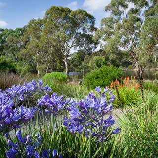 Wittunga Botanic Garden