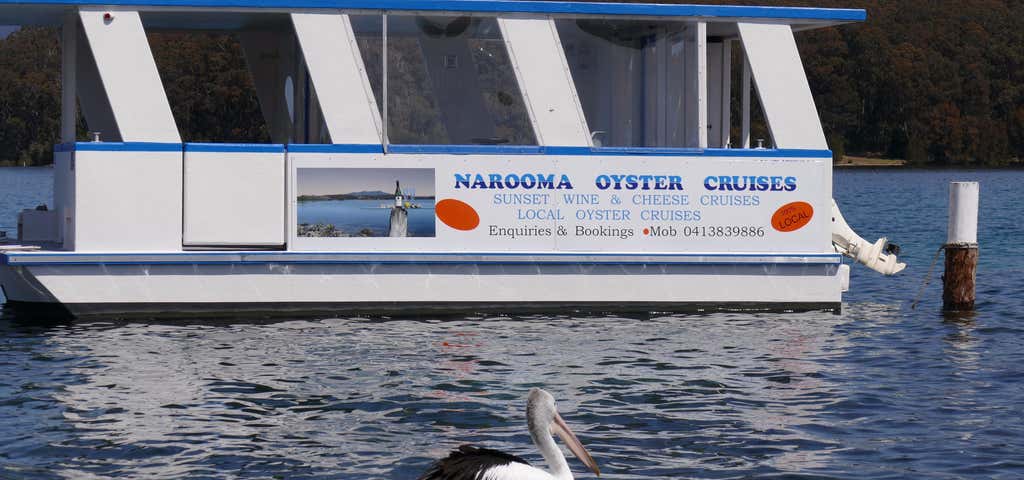 Photo of Narooma Oyster Tours