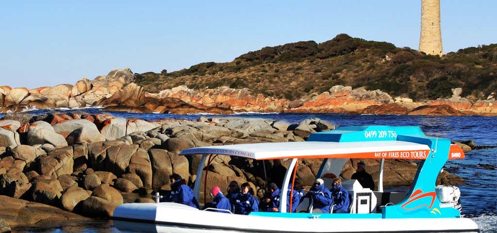 Photo of Bay of Fires Eco Tours