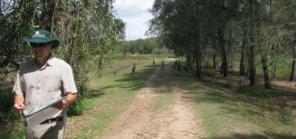Photo of Coombabah Lakes Conservation Area