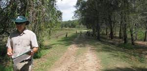 Coombabah Lakes Conservation Area
