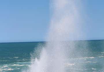 Photo of Blowholes and Point Quobba