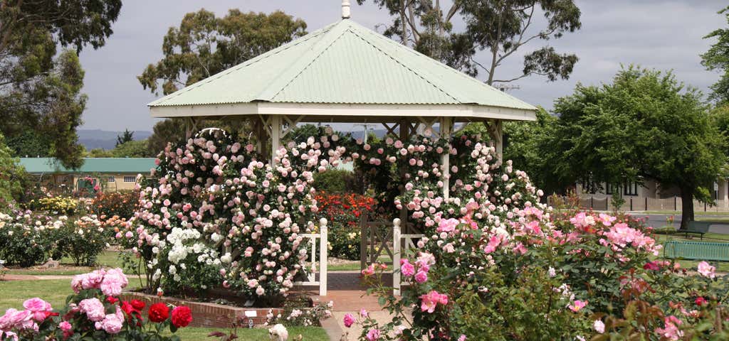 Photo of Morwell Centenary Rose Garden