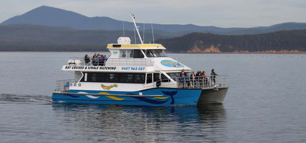 Photo of Cat Balou Cruises and Whale Watching Eden