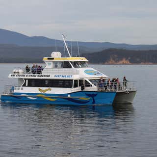 Cat Balou Cruises and Whale Watching Eden
