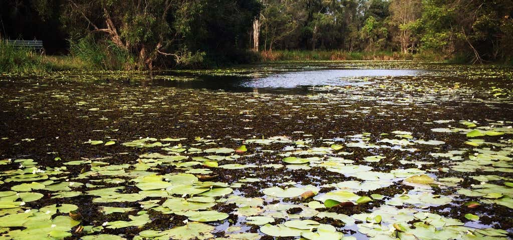 Photo of Baldwin Swamp Environmental Park
