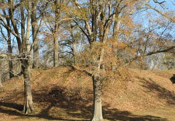 Photo of Pocahontas Mounds<br>(22 HI 500)