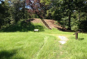 Photo of Owl Creek Mounds