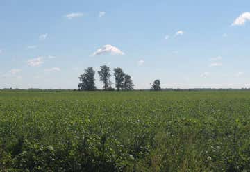 Photo of Mayberry Mound and Village Site