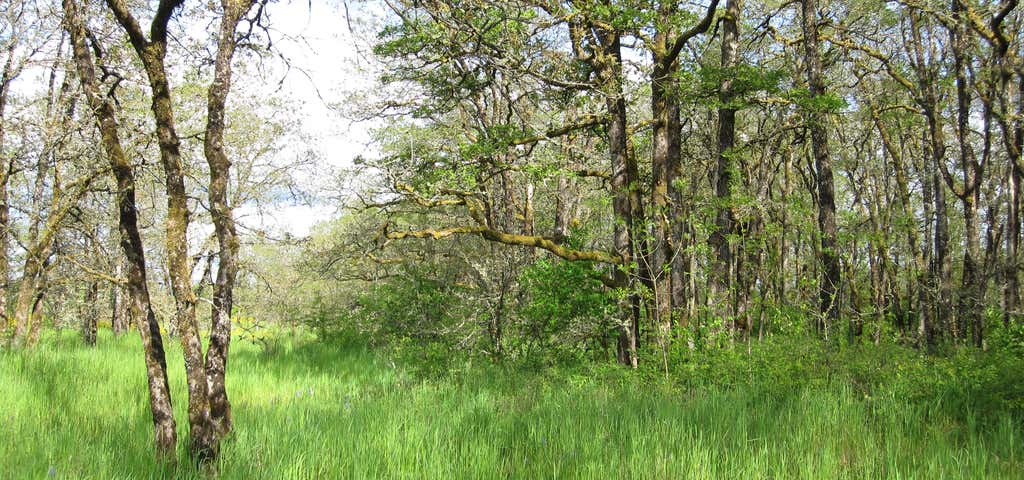  Scatter Creek Unit Grand Mound Roadtrippers