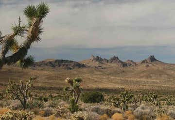 Photo of Castle Mountains National Monument