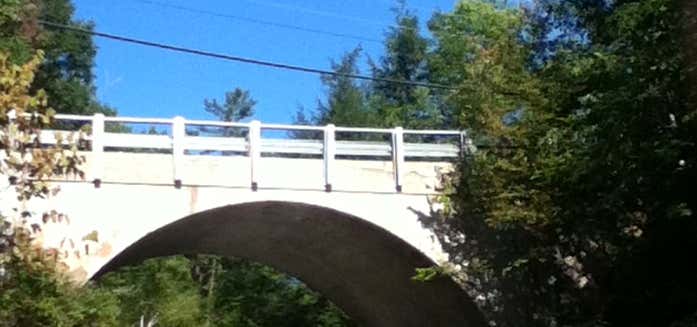 Photo of Middlebury Gorge Concrete Arch Bridge