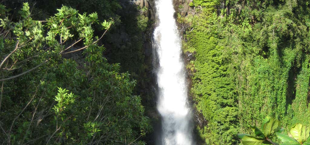 Photo of Makahiku Falls