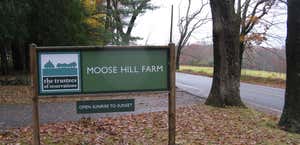 Moose Hill Farm