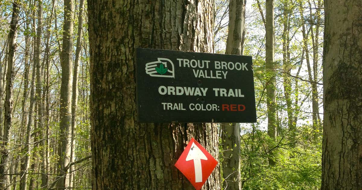 Trout Brook Valley Preserve, Weston Roadtrippers