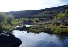 Photo of Camas Creek