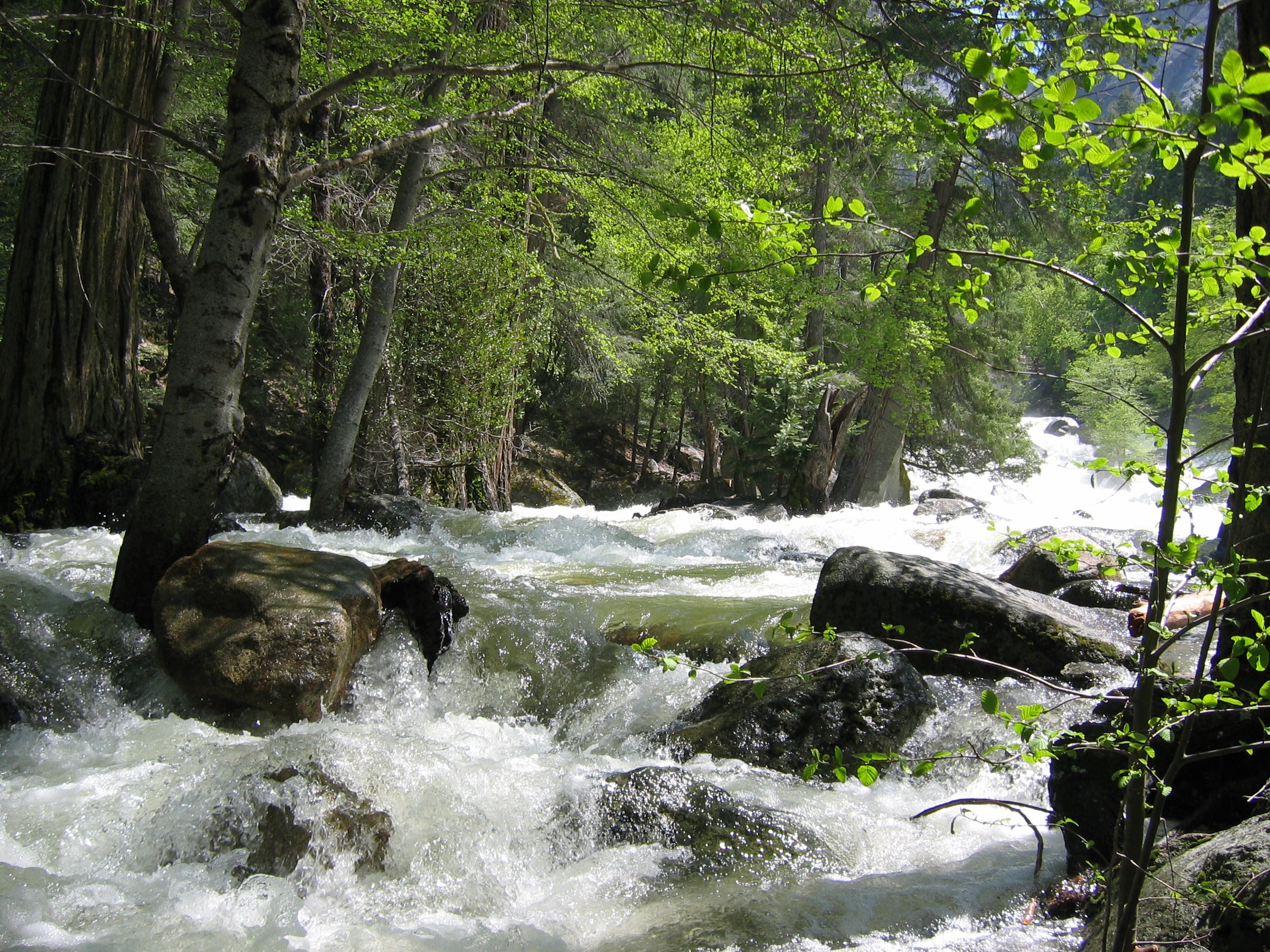 John Muir Trail