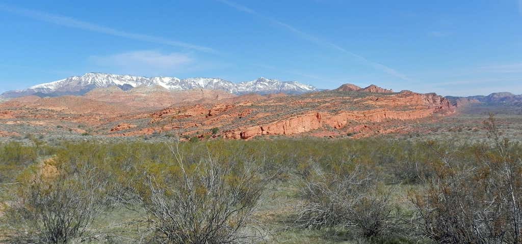 Photo of Red Cliffs National Conservation Area