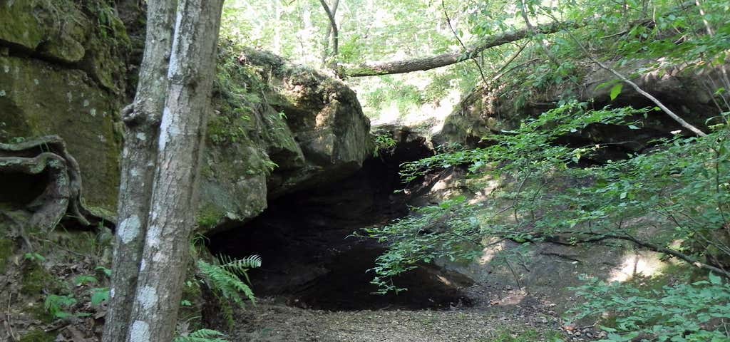 Photo of LaBarque Creek Conservation Area