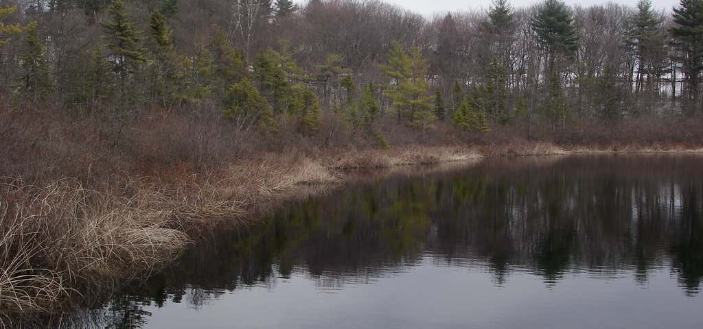 Photo of Ward Reservation