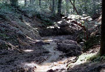 Photo of Ellisdale Fossil Site