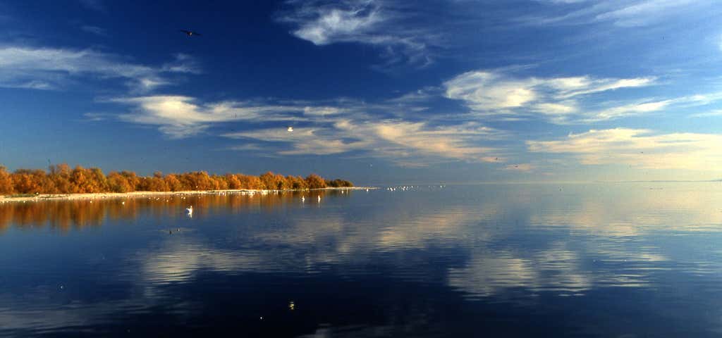 Photo of Salton Sea