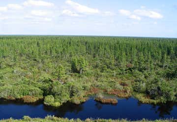 Photo of Pocosin Lakes National Wildlife Refuge