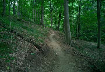 Photo of Hoosier National Forest