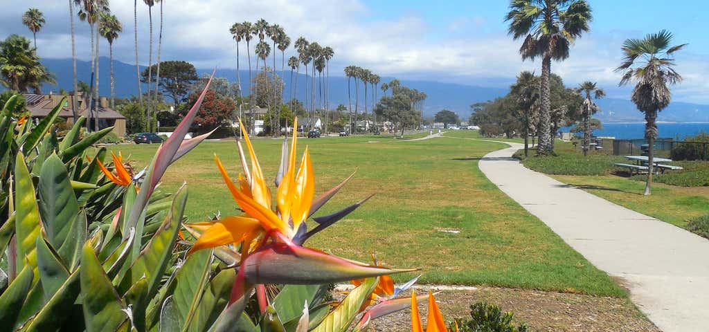 Photo of Shoreline Park