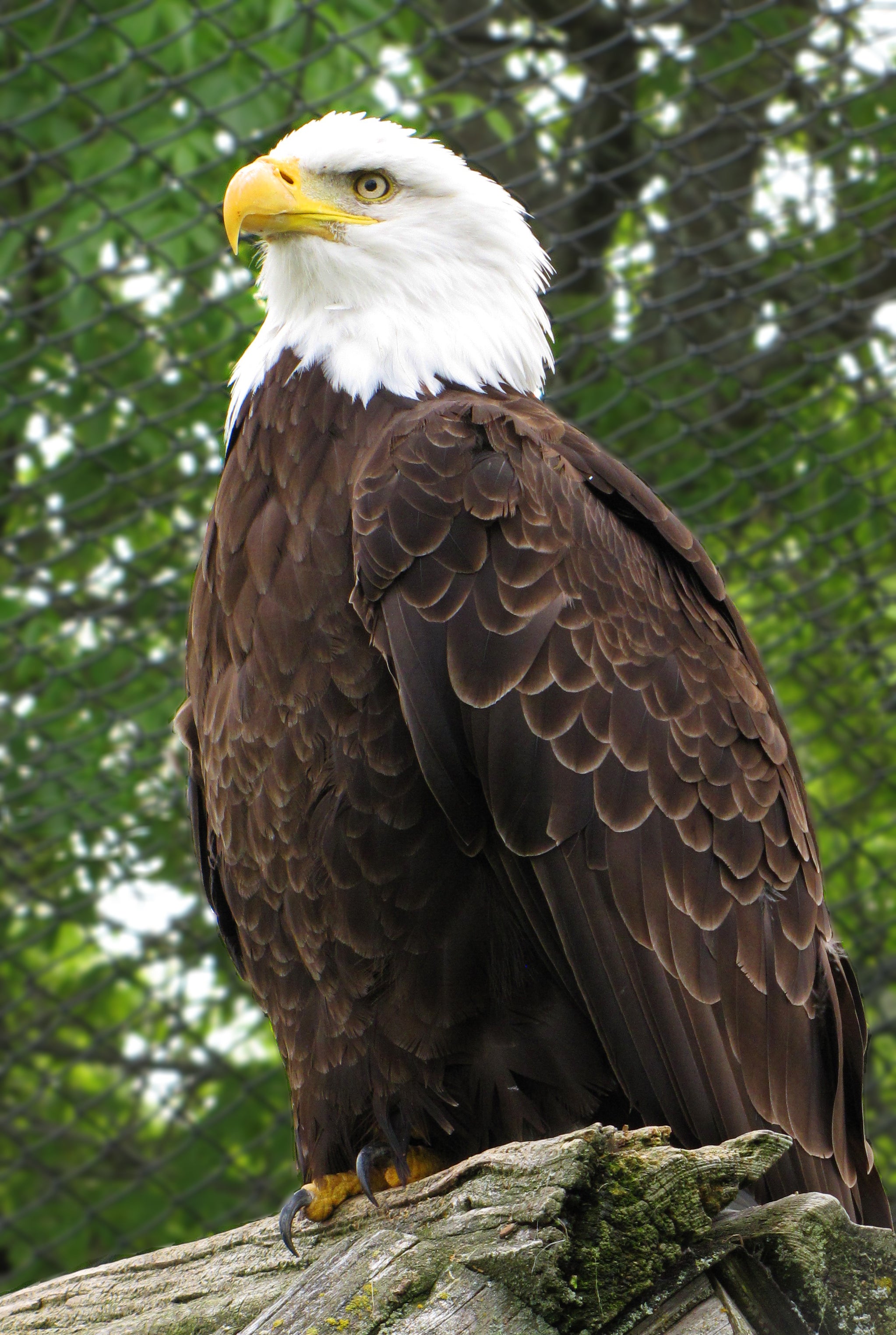 Magnetic Hill Zoo
