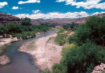 Photo of Gila River