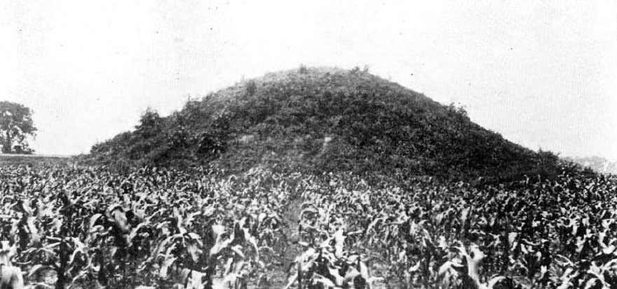 Photo of Adena Mound