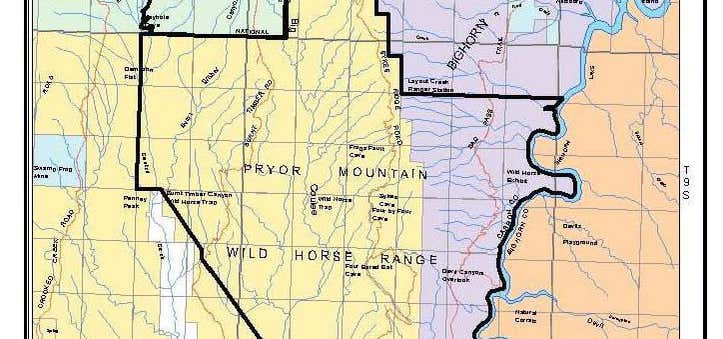 Photo of Pryor Mountain Wild Horse Range