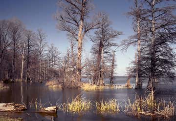 Photo of Reelfoot Lake