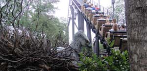 Flight Of The Hippogriff