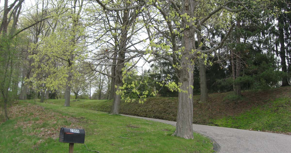 David and Lucy Tarr Fleming Mansion, Wellsburg Roadtrippers