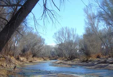 Photo of San Pedro Riparian National Conservation Area