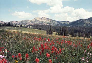 Photo of Mount Jefferson