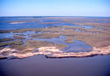 Photo of Grand Bay National Estuarine Research Reserve