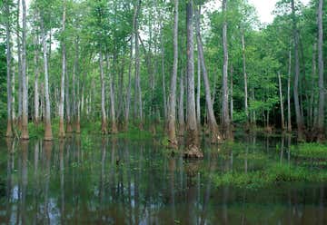 Photo of Bond Swamp National Wildlife Refuge